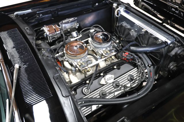 AM8A2976.JPG