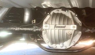 Rear  Copy IMG_4736.jpg