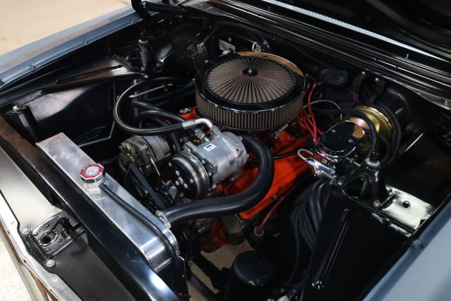 AM8A2985.JPG