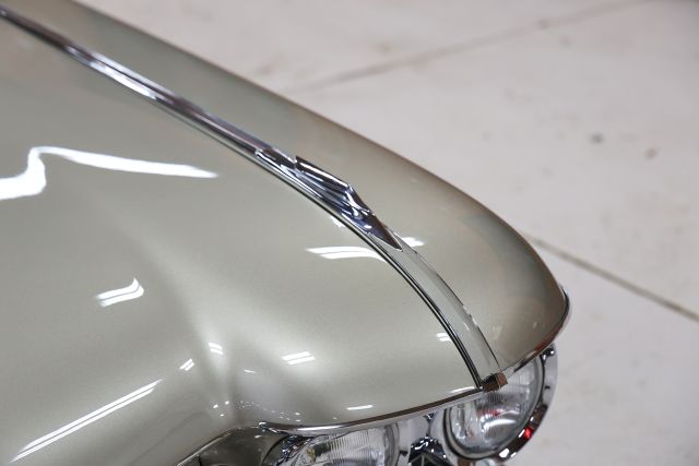 AM8A8724.JPG