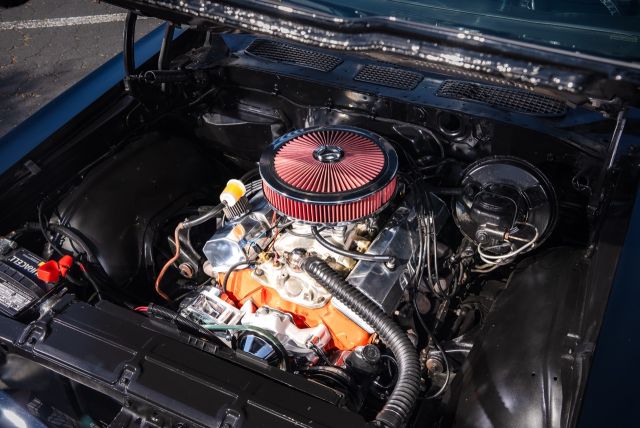 MANNY-BLACK-CHEVELLE-74 Large.jpeg