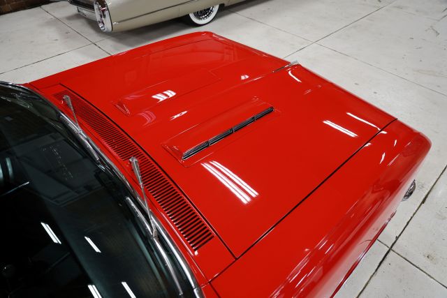 AM8A9186.JPG