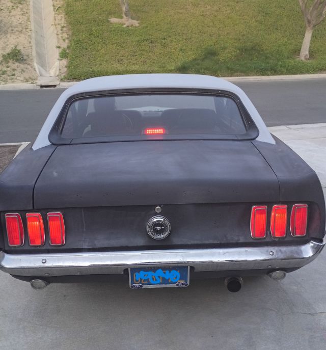 taillights.jpg
