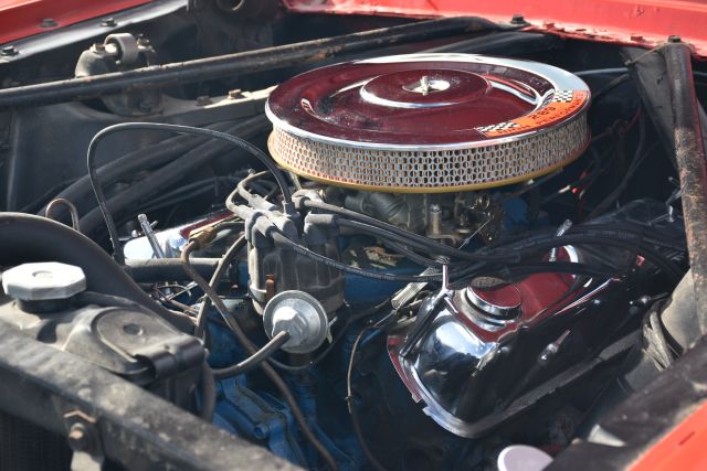DSC_0127.jpg