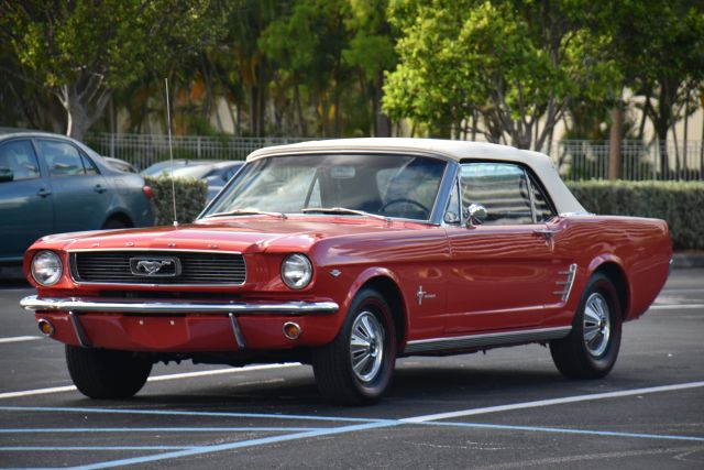 DSC_0040.jpg