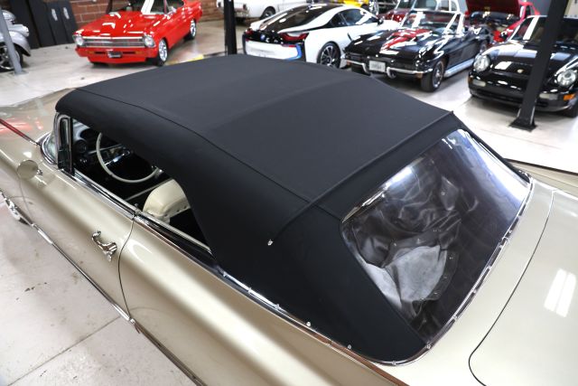 AM8A8766.JPG
