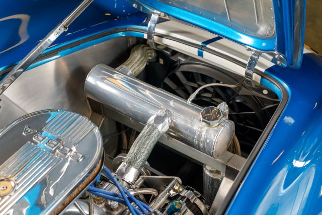 AC COBRA-69.jpg