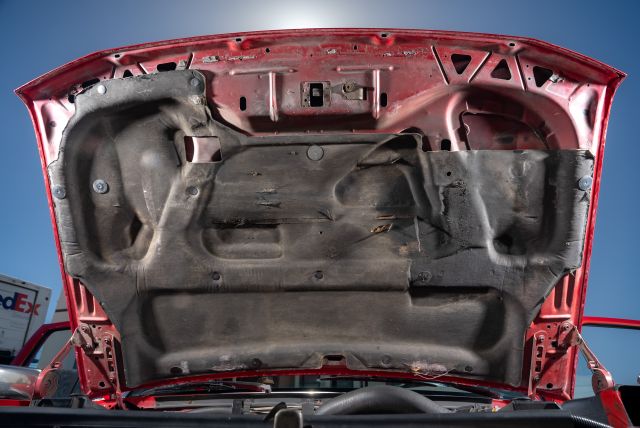 BIG_RED-51.jpg