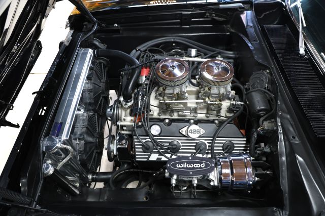 AM8A2978.JPG