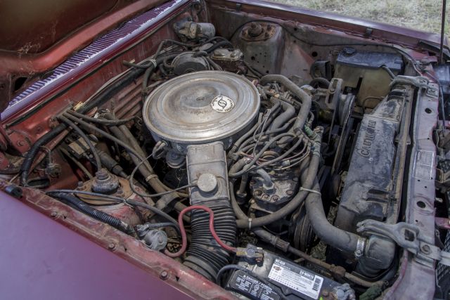 1981 Ford Fairmont Durango 090.JPG