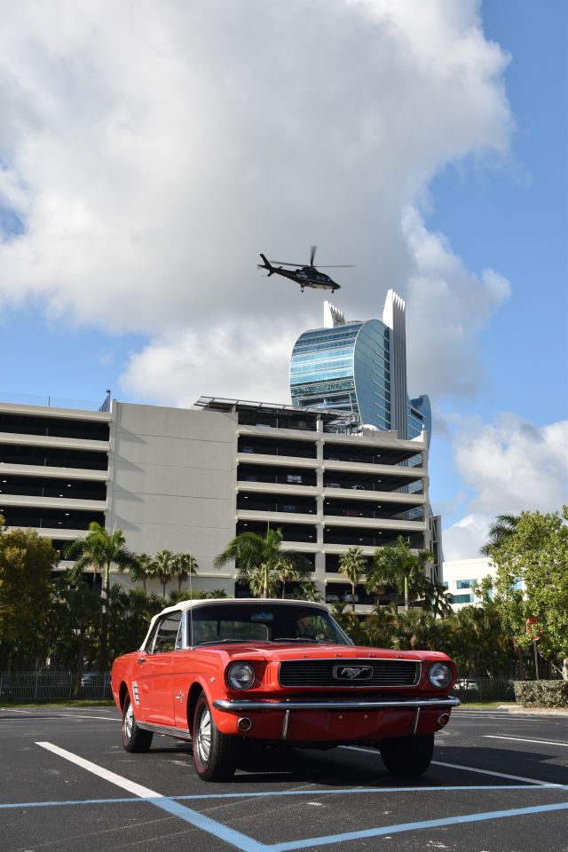 DSC_0021.jpg