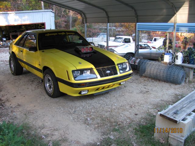 z10 11.14.2010.jpg