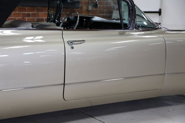 AM8A8741.JPG