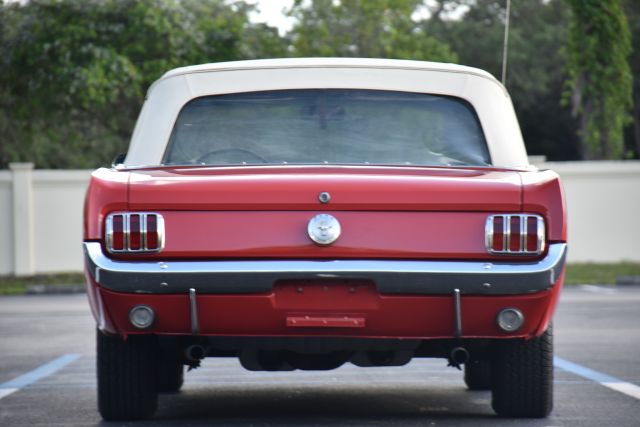 DSC_0055.jpg