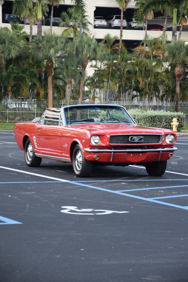 DSC_0173.jpg