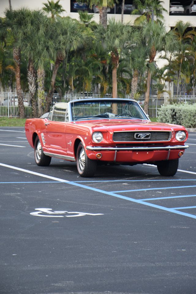 DSC_0175.jpg