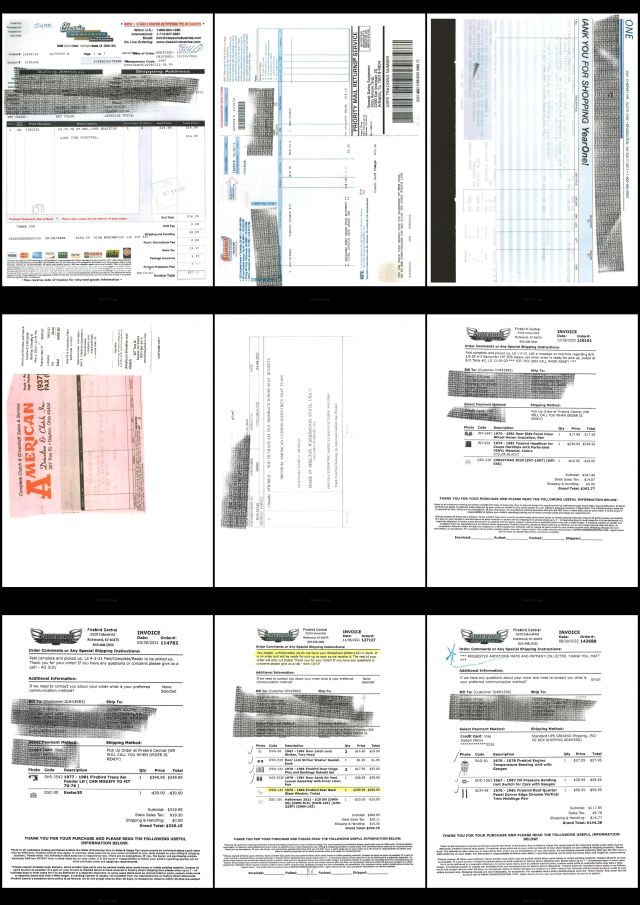 contact-sheet (8).jpg