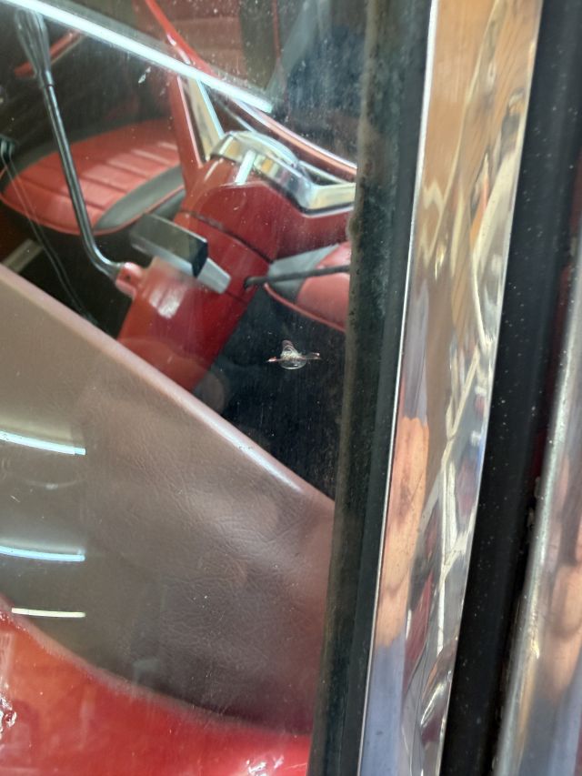 IMG_7289.jpeg