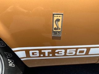 ShelbySideStripe.jpeg