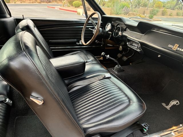 BuddySeat.JPG