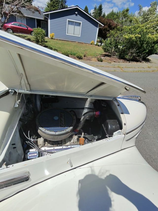 photo-14677_singular_display_fullPicture.JPEG