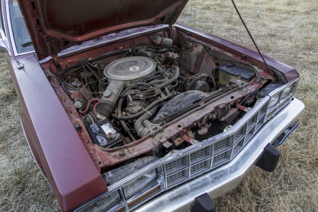 1981 Ford Fairmont Durango 087.JPG
