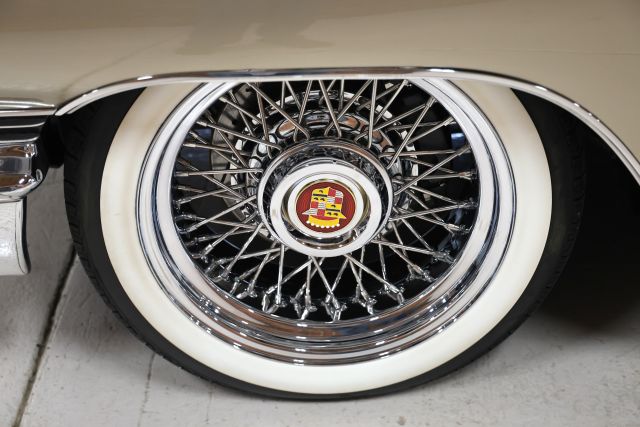AM8A8774.JPG