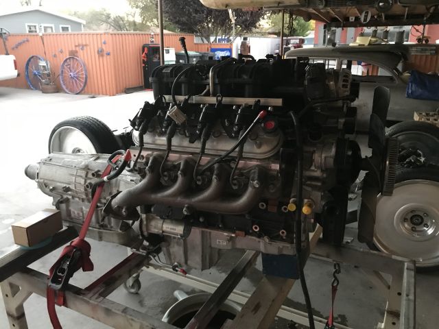 IMG_5466.jpg