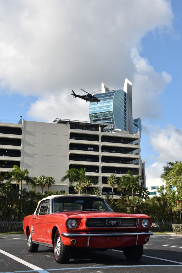 DSC_0019.jpg