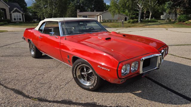 red-firebird-hero.jpg
