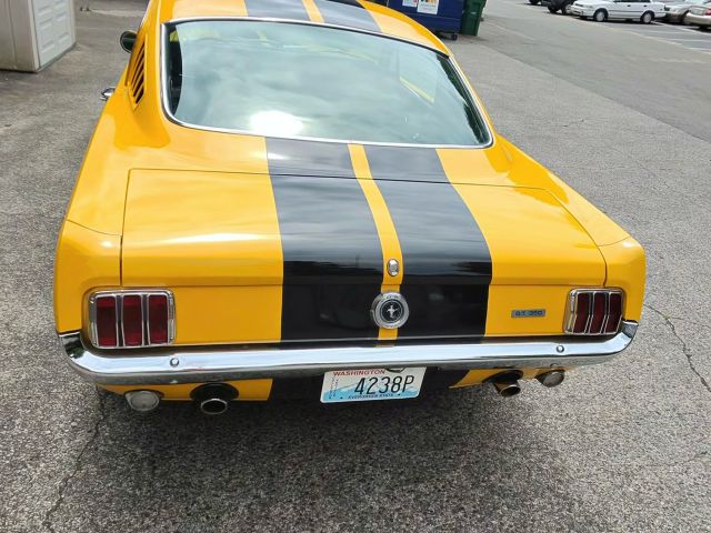 57_photo-15353_singular_display_fullPicture.jpg