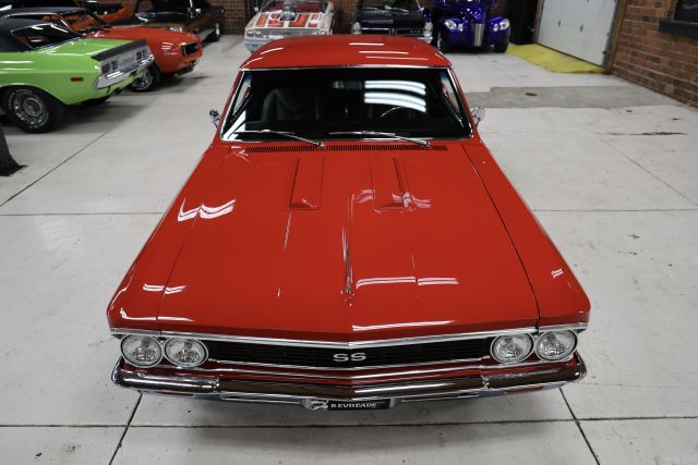 AM8A9178.JPG