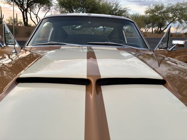 HoodScoop.JPG
