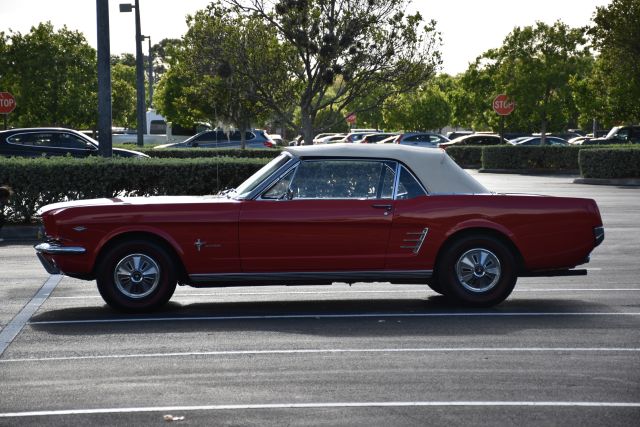 DSC_0047.jpg