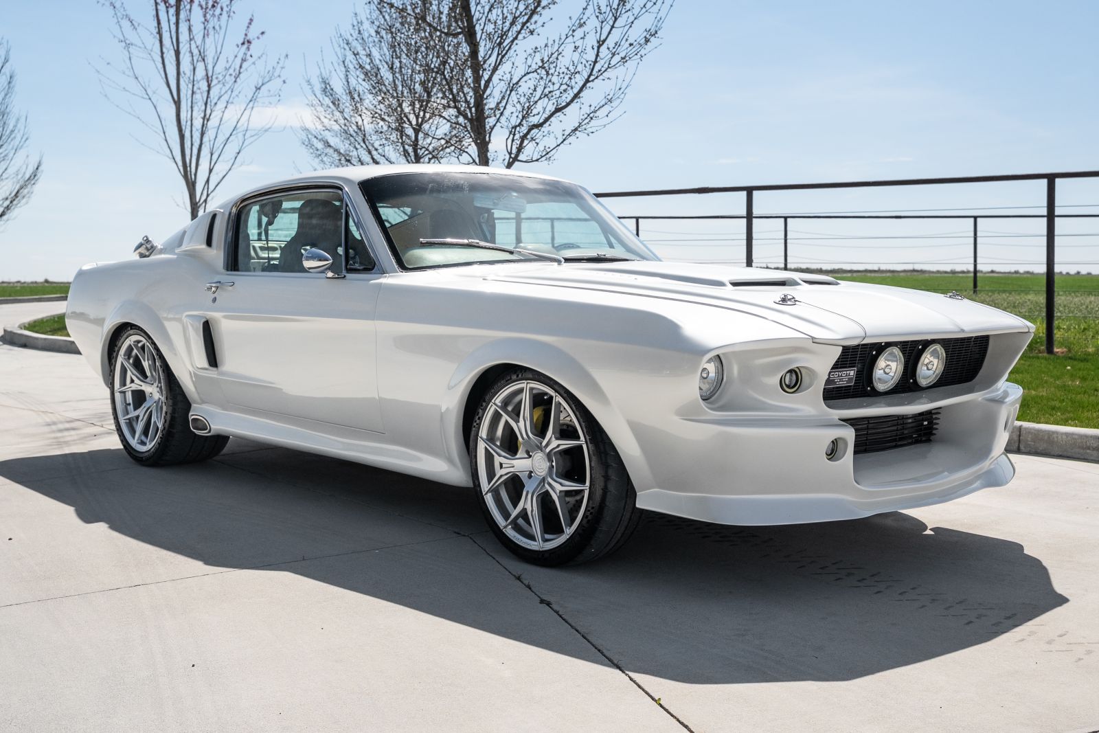 002 - Ford Mustang_20260328.jpg