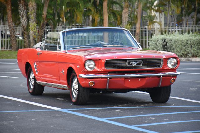 DSC_0176.jpg