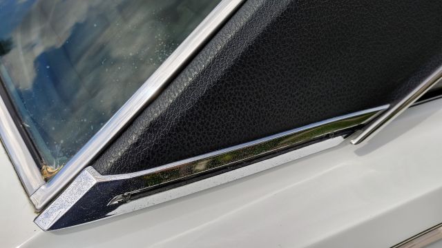 20210923_150516_HDR.jpg