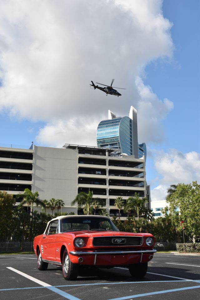 DSC_0022.jpg