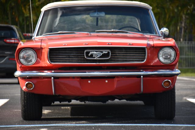 DSC_0038.jpg