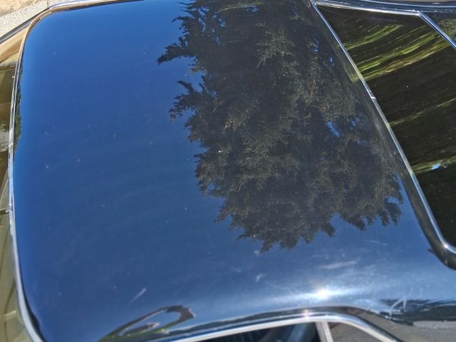 20260904_113336.jpg