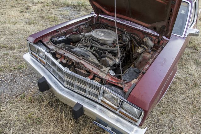 1981 Ford Fairmont Durango 084.JPG