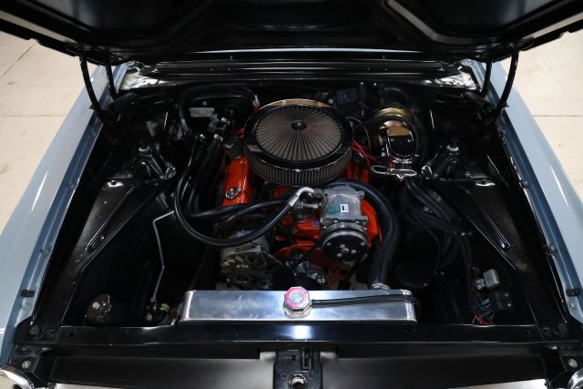 AM8A2983.JPG