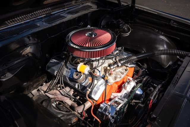 MANNY-BLACK-CHEVELLE-76 Large.jpeg