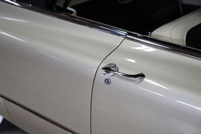 AM8A8730.JPG