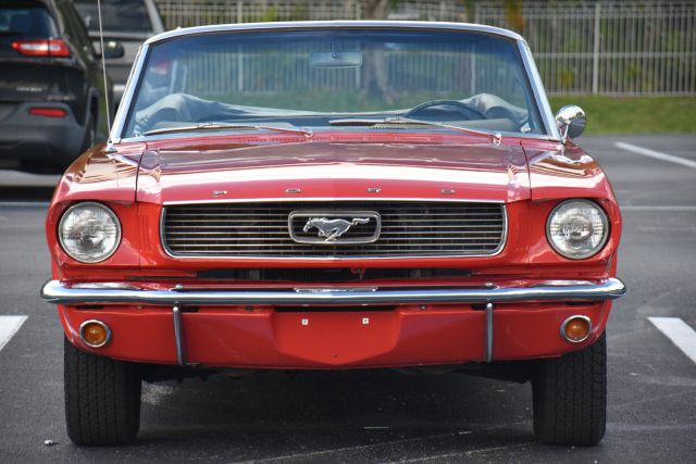 DSC_0178.jpg