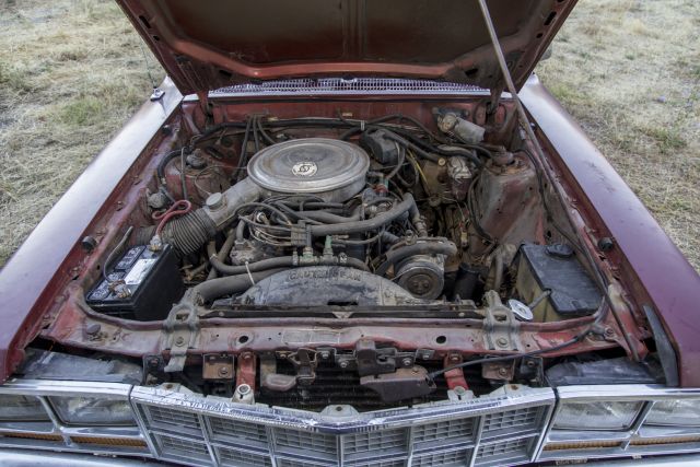 1981 Ford Fairmont Durango 086.JPG
