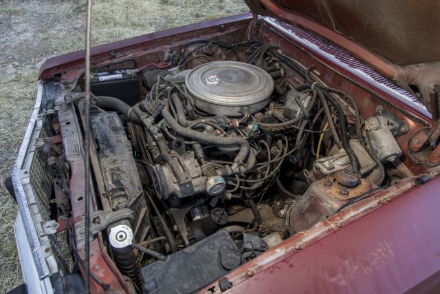 1981 Ford Fairmont Durango 083.JPG