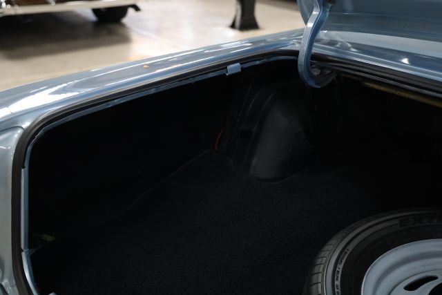 AM8A2973.JPG