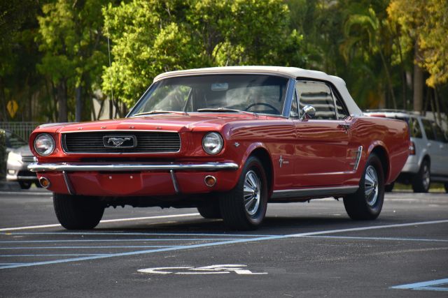 DSC_0041.jpg