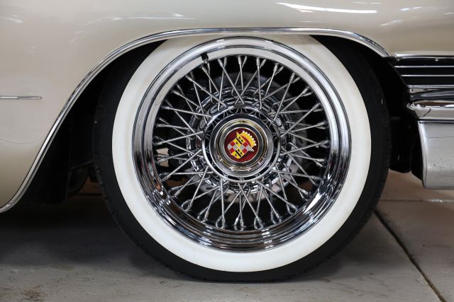 AM8A8732.JPG